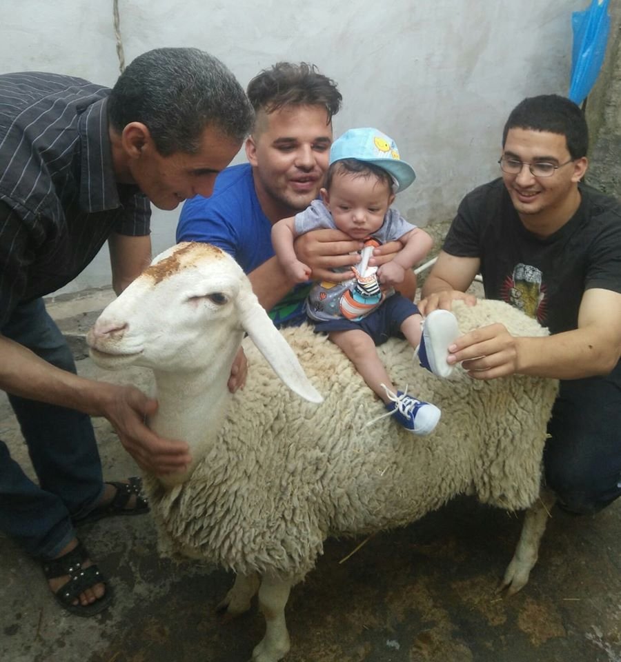 مراجعة